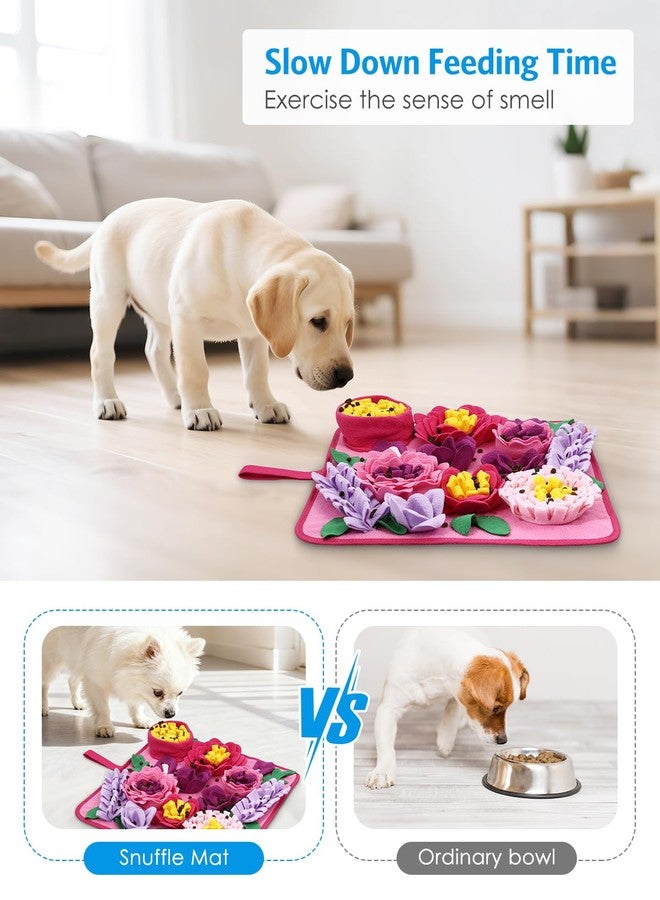 AMIR Snuffle Mat for Dogs, AMIR Dog Snuffle Mat, Slow Feeding Sniff Mat for Dogs Encourages Foraging Skills, Reduces Stress, and Aids in Training - Image 4